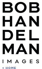 Bob Handelman Website