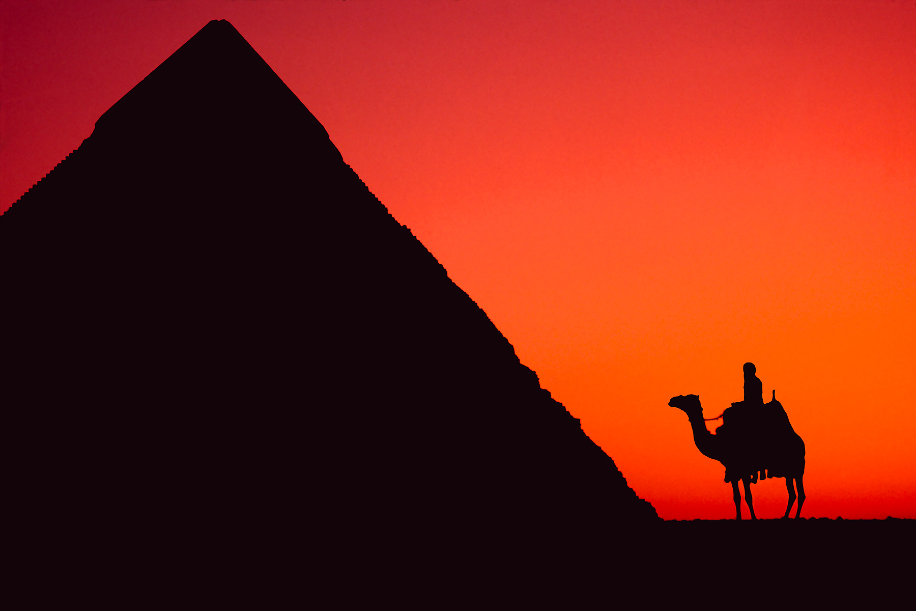 D35 0131Camel and Pyramid
