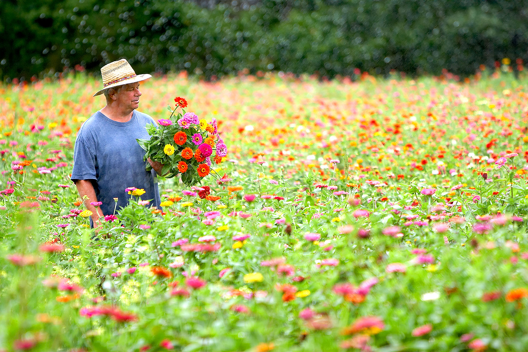 Man picking flowers