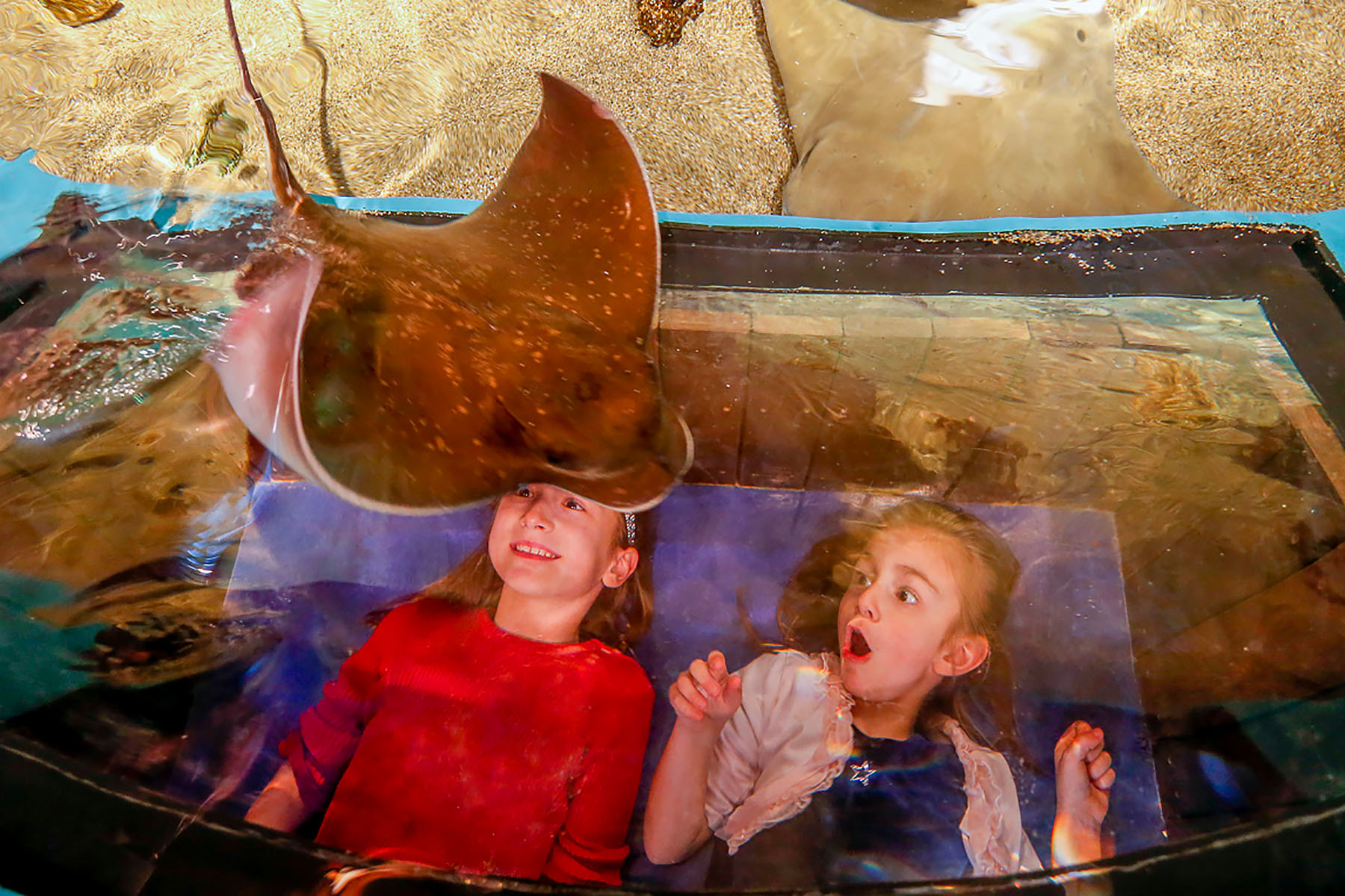 14-211 Aquarium