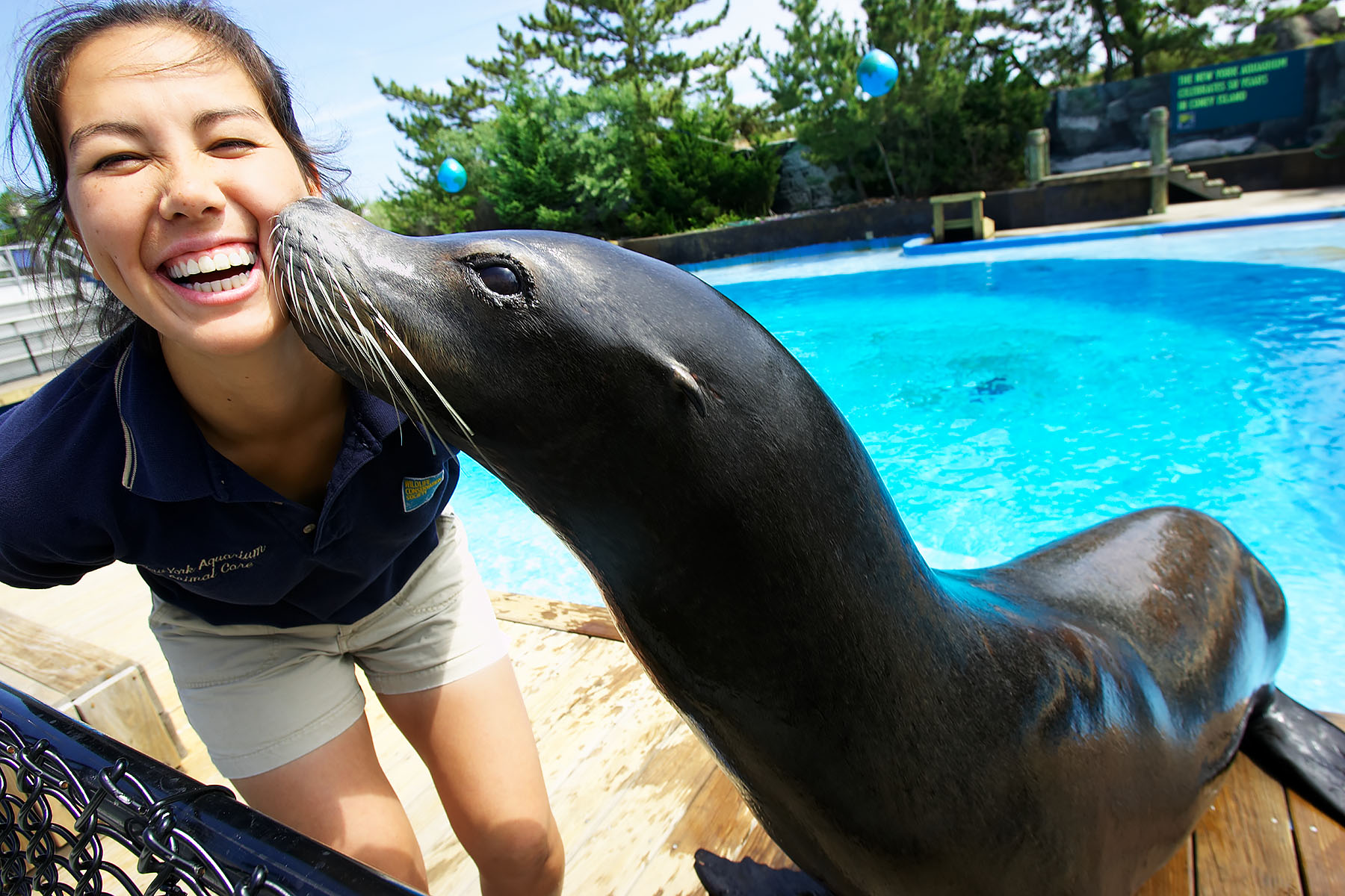 JDC 0387 Seal Kiss 07-041_126